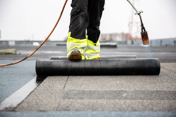 Best Skylight Installation and Repair  in Cliffside Park, NJ